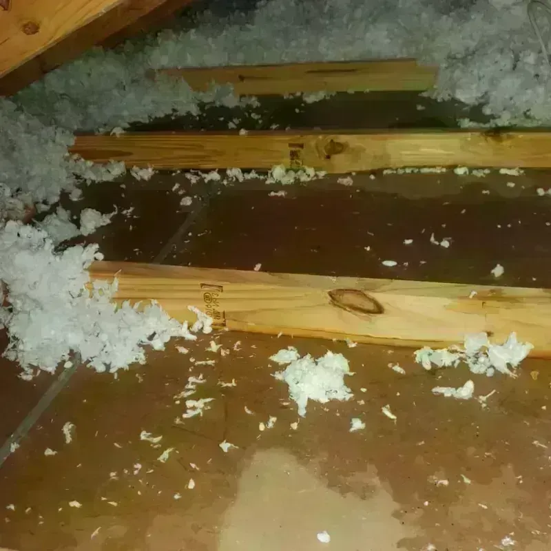 Attic Water Damage in Mesquite, NV