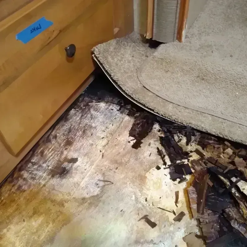 Wood Floor Water Damage in Mesquite, NV